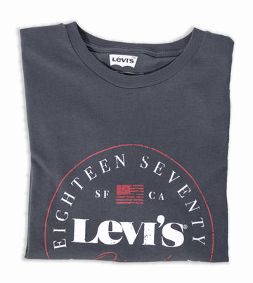 Levi's Grey Basic T-shirt